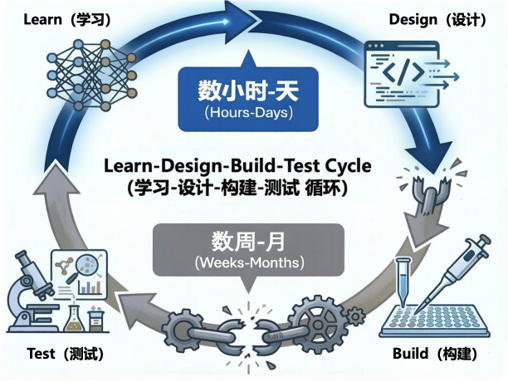 DBTL 设计-构建-测试-学习循环